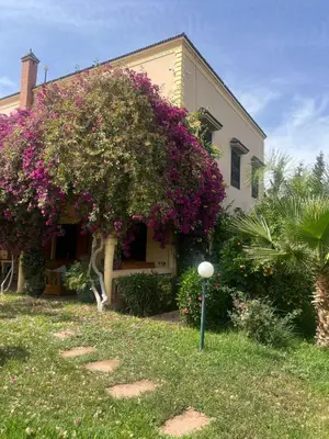 a house with a tree with purple flowers in front of it at Villa Louise in Marrakech