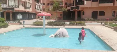 a pool with a polar bear in the water at premium village m231 in Marrakech
