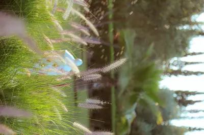 a close up of a plant in a forest at Palais Soufi 8 chambres in Marrakech