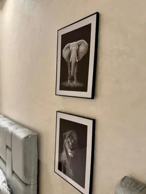 two pictures of an elephant and a dog on a wall at Yumo - Cozy 3 in Marrakech