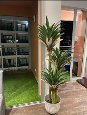 a palm plant in a pot in a living room at Ideal stay near Medina and historical sites in Marrakech