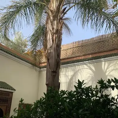 RIAD VERT de Nina