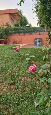 two pink roses in the grass in a yard at 5-star luxury villa with private pool in Marrakech