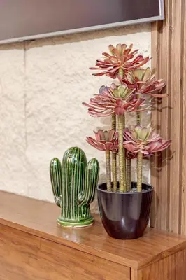 a vase of flowers and a cactus on a shelf at Appartement confortable au cœur de Gueliz in Marrakech