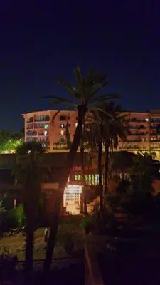 a palm tree in front of a building at night at Appartement Majorella Gueliz in Marrakech