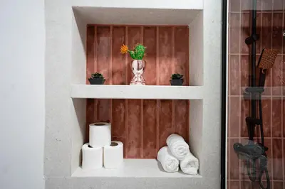 a shelf with toilet paper and a vase with a plant at œil de la vallée in Marrakech