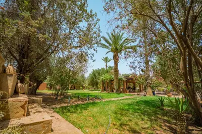 a garden with a palm tree and a house at Villa Provence - Pool and Private Garden in Marrakech