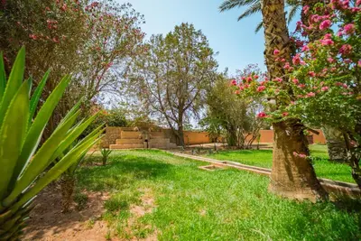 a park with a palm tree and pink flowers at Villa Provence - Pool and Private Garden in Marrakech