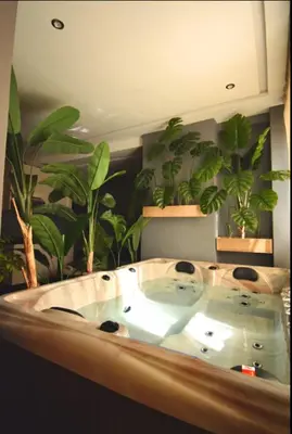 a bath tub with two potted plants in a room at Luxurious apartment with private jacuzzi in Marrakech