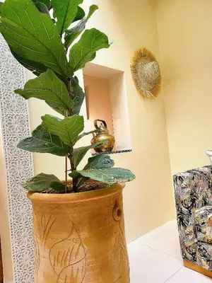 a large vase with a plant in a room at Riad Duplex de charme 2 chambres in Marrakech