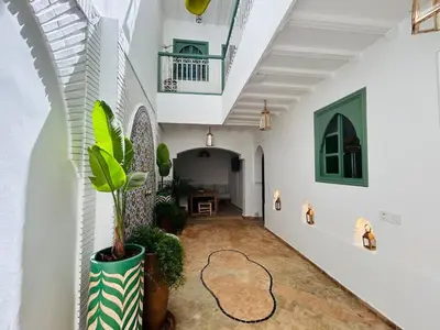 a hallway of a house with a plant in a vase at Riad Hami in Marrakech