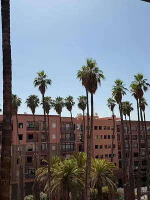 a group of palm trees in front of a building at Marrakech Palm View in Marrakech