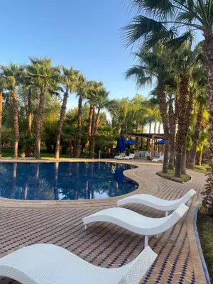a swimming pool with palm trees and two white benches at Complexe villa and Restaurant in Marrakech