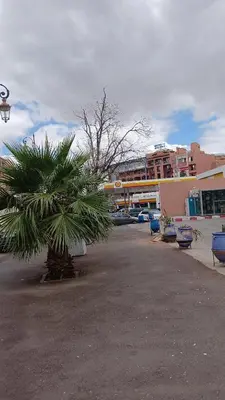 a palm tree in the middle of a parking lot at AU GC Gueliz Cosy in Marrakech