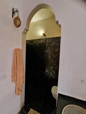 a bathroom with a shower with a toilet in it at Riad La Brune in Marrakech