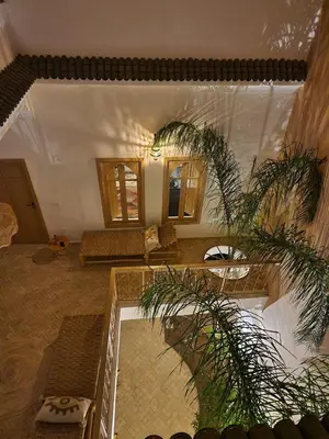 a living room with a couch and a palm tree at Riad La Brune in Marrakech