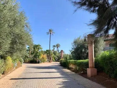 a brick road with a palm tree and a pole at Pure havre de paix à Marrakech in Marrakech