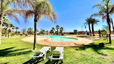 a group of chairs and a swimming pool with palm trees at Palmeraie 1BR Appart with Garden, Pools and Tennis in Marrakech