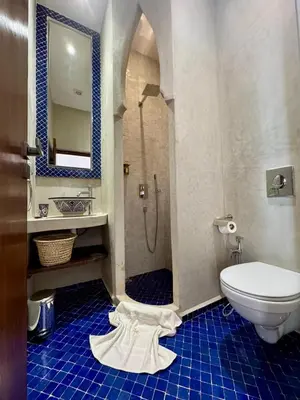 a bathroom with a toilet and a shower in it at riad les cinq terres in Marrakech
