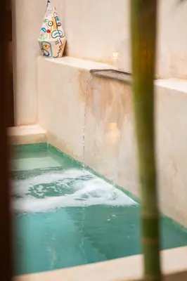 a pool of water with a bag sitting next to it at Riad Dar Amazonia in Marrakech