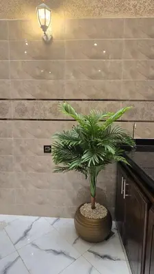 a potted plant sitting on a counter in a room at Near Airport hosting in Marrakech