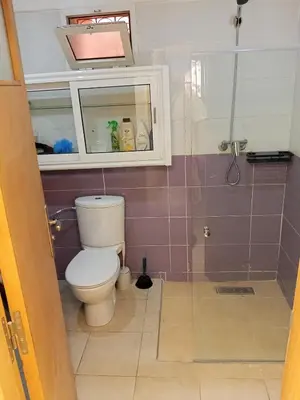 a bathroom with a toilet and a shower at Appartement Marrakech in Marrakech