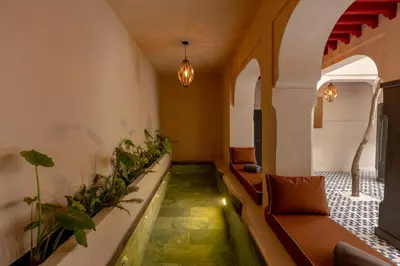 a living room with a couch and some plants at Riad Cedrat in Marrakech