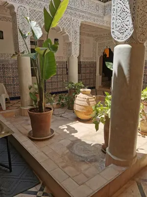 a room filled with potted plants on a table at Dar Ahlam in Marrakech