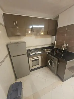 a small kitchen with a refrigerator and a dishwasher at the Heart of Marrakech Your Private Oasis in Marrakech