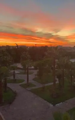 a sunset over a park with palm trees at sunset at Bel appartement 95 m2 au centre dans le plus beau quartier de Marrakech in Marrakech