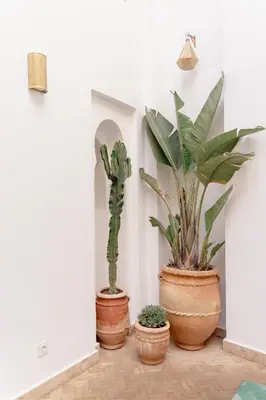 three potted plants are sitting in a hallway at Riad KECH LeS ESSENTIELS in Marrakech