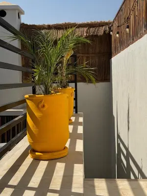 three large yellow pots with plants in them on a balcony at Maison Etchika in Marrakech