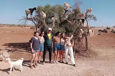 a group of people standing in front of a tree at Studio With Pool Marrakesh in Marrakech