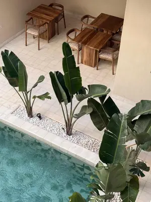 a pool with two plants and a table and benches at Riad A l'Ombre du Palais in Marrakech