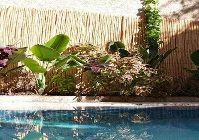 a swimming pool with plants next to a fence at la villa cozy in Marrakech