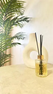 a vase with sticks in it next to a plant at New Appart cosy et raffiné avec piscine et Jacuzzi à Guéliz in Marrakech