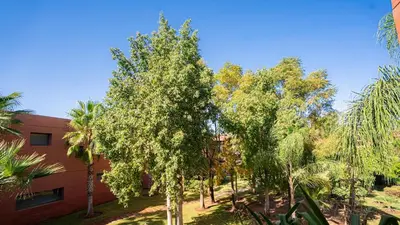 a group of trees in front of a building at Appart calme & central, piscine, proche médina et place Jemaa El Fna in Marrakech