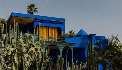 a blue house with a cactus in front of it at דירה
