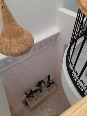 a group of plants sitting on a shelf in a room at Riad Douiria MiLa Luxury Private 2 to 4 people in Marrakech