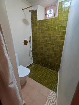 a bathroom with a toilet and a green shower at Dar Aji, votre maison d'architecte privatisée en médina in Marrakech