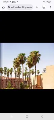 a picture of a group of palm trees at Appartemment Luxe Gueliz in Marrakech