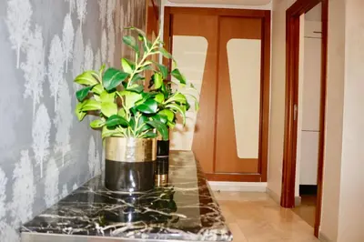 a potted plant sitting on a counter in a hallway at Red nelbrj appartement in Marrakech