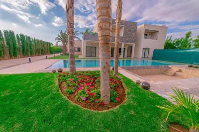 a villa with a palm tree and a swimming pool at Villa Lumeria in Marrakech