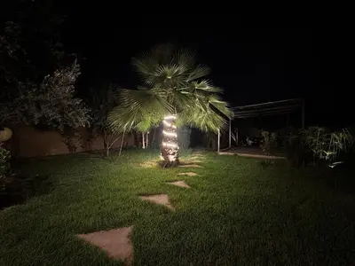 a palm tree in the middle of a yard at night at Charmante villa avec piscine privée et jardin in Marrakech