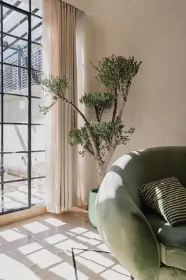 a living room with a green couch and a window at City Center 1 BED Apartments - Miramas - Pool and gym in Marrakech