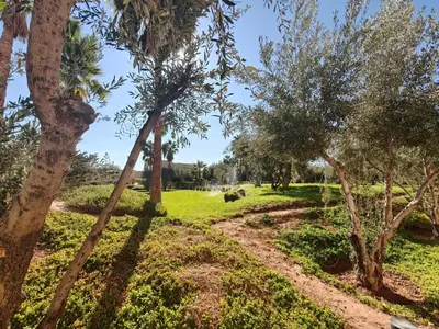 a path through a park with palm trees at Duplexe Moderne 3 suites à Oliver Palm Resort in Marrakech