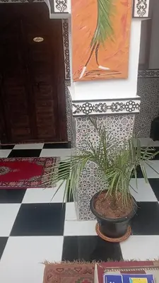 a potted plant sitting on a tiled floor with a painting at Riad El yacout in Marrakech
