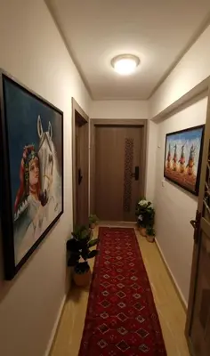 a hallway with a red carpet and a painting on the wall at Ilova 1 - Appartement Moderne au Centre de Marrakech in Marrakech