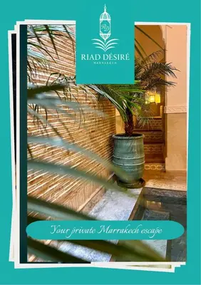 a plant in a vase sitting in a window at Private - Riad Désiré Marrakech in Marrakech
