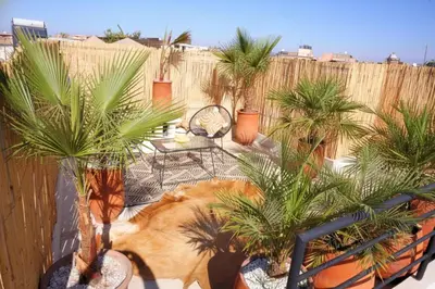 a cat laying on a patio with palm trees at Little date in Marrakech